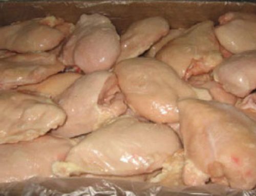 Boneless Skinless Half Chicken Breast IQF