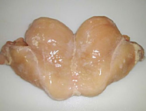 Boneless Skinless Butterfly Chicken Breast IQF