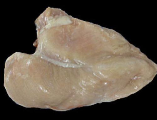 Boneless Skinless Half Chicken Breast